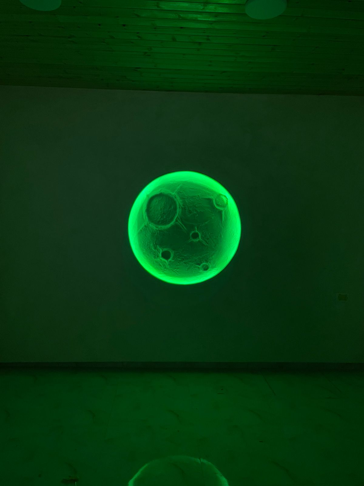 مشروع